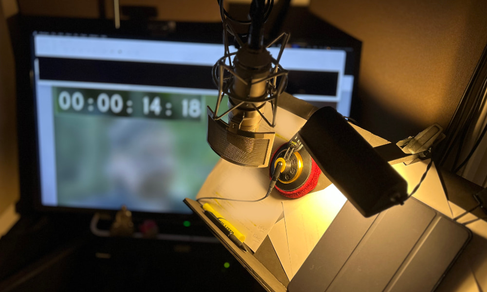 la-voiceover-adr-recording-booth.jpg